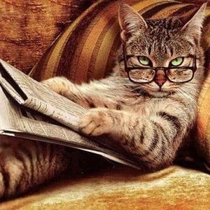 Meet your Posher, Effie